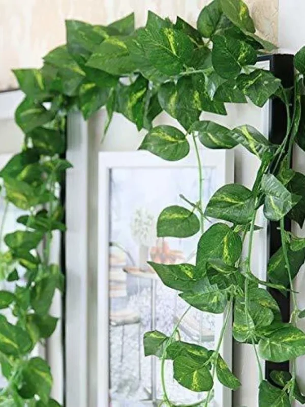 7 Feet Length Money Plant Leaves Artificial Garland / ivy vine leaves bail perfect for Indoor and Outdoor Decoration